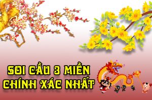 soi cầu víp lô song thủ kép miền bắc