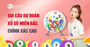 soi cầu víp đề 8 con miền bắc