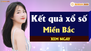 soi cầu víp đề 4 con miền bắc