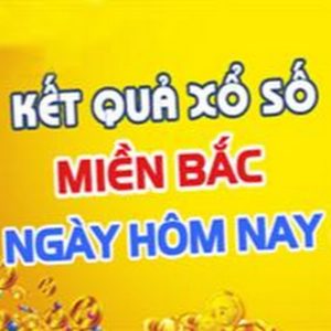 soi cầu víp đề bạch thủ miền bắc